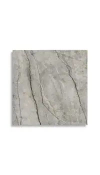 vloertegel Grijs 120 x 120 | 019-982 | Jan Groen Tegels