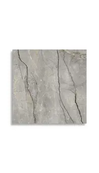 vloertegel Grijs 120 x 120 | 019-982 | Jan Groen Tegels