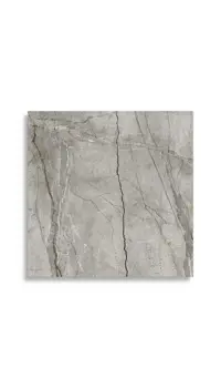 vloertegel Grijs 120 x 120 | 019-982 | Jan Groen Tegels