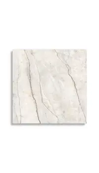 vloertegel Wit 120 x 120 | 259-779 | Jan Groen Tegels