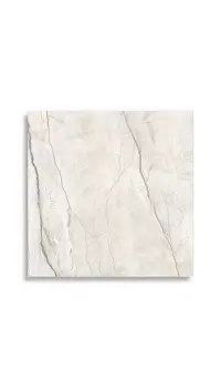 vloertegel Wit 120 x 120 | 259-779 | Jan Groen Tegels