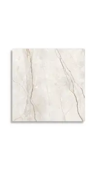 vloertegel Wit 120 x 120 | 259-779 | Jan Groen Tegels