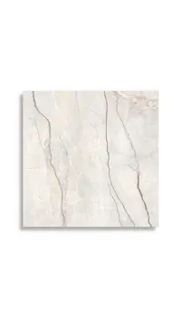 vloertegel Wit 120 x 120 | 259-779 | Jan Groen Tegels