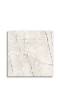 vloertegel Wit 120 x 120 | 259-779 | Jan Groen Tegels