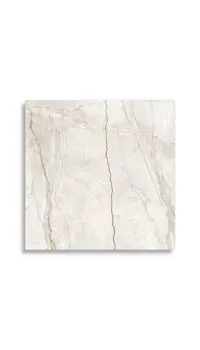 vloertegel Wit 120 x 120 | 259-779 | Jan Groen Tegels