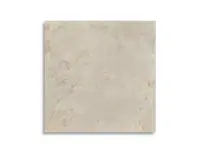 vloertegel Grijs 120 x 120 | 594-632 | Jan Groen Tegels