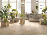 vloertegel Beige 60 x 120 | 032-772 | Jan Groen Tegels