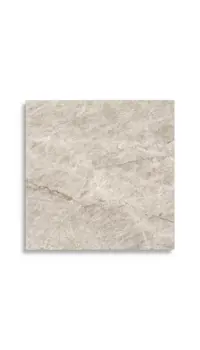 Vloertegels Pamesa Taj Mahal Pulido 60x60x0.95 | 598-256 | Jan Groen Tegels