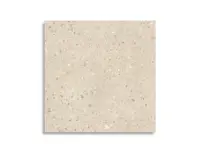 vloertegel Beige 60 x 60 | 282-706 | Jan Groen Tegels