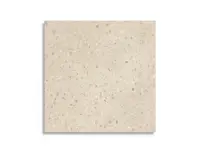 vloertegel Beige 60 x 60 | 282-706 | Jan Groen Tegels