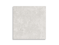 tuintegel Beige 60 x 60 | 827-647 | Jan Groen Tegels