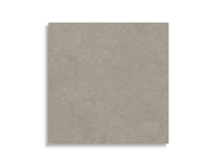 tuintegel Taupe 60 x 60 | 399-631 | Jan Groen Tegels