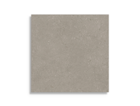 tuintegel Taupe 60 x 60 | 399-631 | Jan Groen Tegels