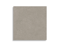 tuintegel Taupe 60 x 60 | 399-631 | Jan Groen Tegels