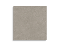 tuintegel Taupe 60 x 60 | 399-631 | Jan Groen Tegels