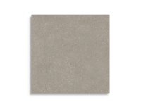 tuintegel Taupe 60 x 60 | 399-631 | Jan Groen Tegels