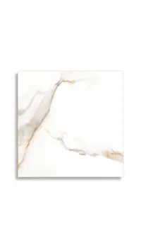 Vloertegels STN Lumiere Natural 60 x 60 | 333-258 | Jan Groen Tegels