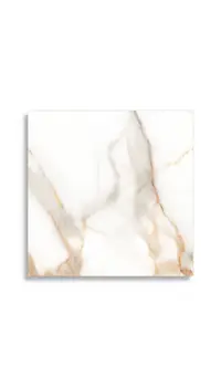 Vloertegels STN Lumiere Natural 60 x 60 | 333-258 | Jan Groen Tegels