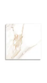 Vloertegels STN Lumiere Natural 60 x 60 | 333-258 | Jan Groen Tegels