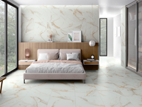 Vloertegels STN Lumiere Natural 60 x 60 | 333-258 | Jan Groen Tegels