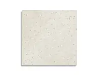 vloertegel Grijs 60 x 60 | 879-909 | Jan Groen Tegels