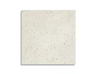 vloertegel Grijs 60 x 60 | 879-909 | Jan Groen Tegels