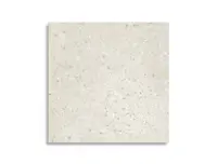 vloertegel Grijs 60 x 60 | 879-909 | Jan Groen Tegels