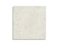 vloertegel Grijs 60 x 60 | 879-909 | Jan Groen Tegels