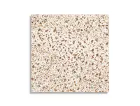 vloertegel Multi 60 x 60 | 151-560 | Jan Groen Tegels