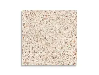 vloertegel Multi 60 x 60 | 151-560 | Jan Groen Tegels