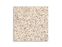 vloertegel Multi 60 x 60 | 151-560 | Jan Groen Tegels