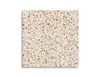 vloertegel Multi 60 x 60 | 151-560 | Jan Groen Tegels