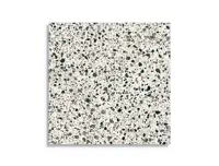 vloertegel Multi 60 x 60 | 498-548 | Jan Groen Tegels