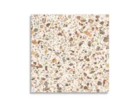 vloertegel Multi 30 x 30 | 115-439 | Jan Groen Tegels