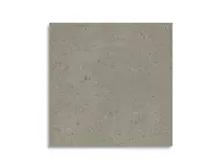 vloertegel Grijs 119.5 x 119.5 | 569-905 | Jan Groen Tegels