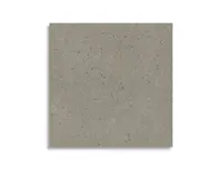 vloertegel Grijs 119.5 x 119.5 | 569-905 | Jan Groen Tegels