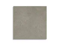 vloertegel Grijs 119.5 x 119.5 | 569-905 | Jan Groen Tegels