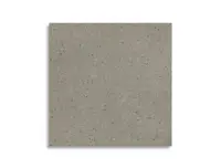 vloertegel Grijs 119.5 x 119.5 | 569-905 | Jan Groen Tegels