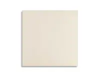 vloertegel Beige 15 x 15 | 598-946 | Jan Groen Tegels