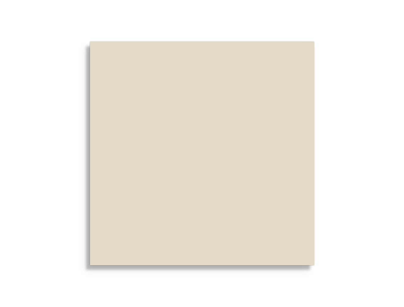 vloertegel Beige 20 x 20