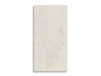 vloertegel Beige 60 x 120 | 210-040 | Jan Groen Tegels