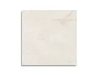 vloertegel Beige 60 x 60 | 811-132 | Jan Groen Tegels