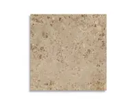 vloertegel Bruin 120 x 120 | 313-313 | Jan Groen Tegels