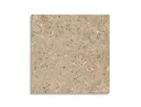 vloertegel Bruin 120 x 120 | 313-313 | Jan Groen Tegels