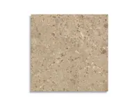 vloertegel Bruin 120 x 120 | 313-313 | Jan Groen Tegels