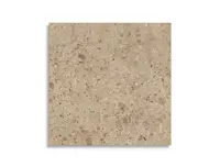 vloertegel Bruin 120 x 120 | 313-313 | Jan Groen Tegels