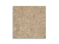 vloertegel Bruin 120 x 120 | 313-313 | Jan Groen Tegels