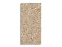 vloertegel Bruin 60 x 120 | 159-272 | Jan Groen Tegels