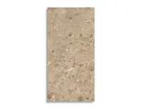 vloertegel Bruin 60 x 120 | 159-272 | Jan Groen Tegels