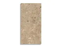 vloertegel Bruin 60 x 120 | 159-272 | Jan Groen Tegels